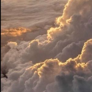 Meet your Posher, Naomi